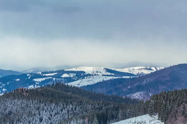 winter mountain landscape, snow - covered trees and mountains.