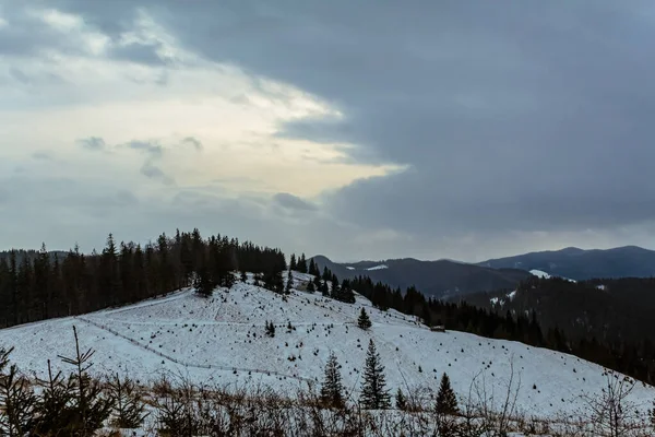 Kışın Karpat Dağları