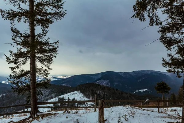Kış manzara dağ orman