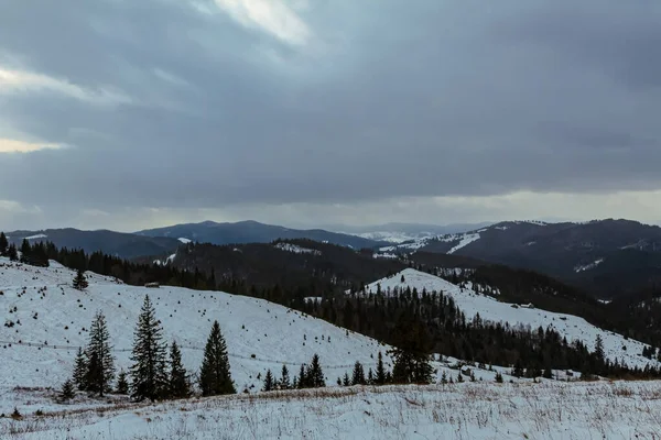 Karpatların güzel kış dağları