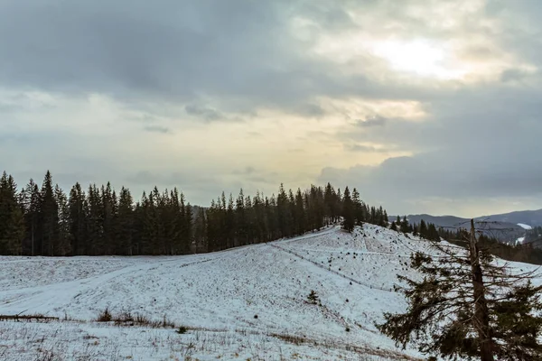 Karla kaplı ağaçlarla kaplı kış manzarası
