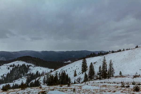 Kar ve dağlarla kaplı kış manzarası