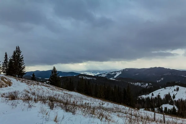snow covered winter forest with trees and mountain