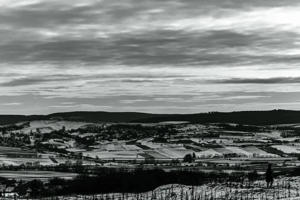 Kış manzarasının siyah ve beyaz görüntüsü.