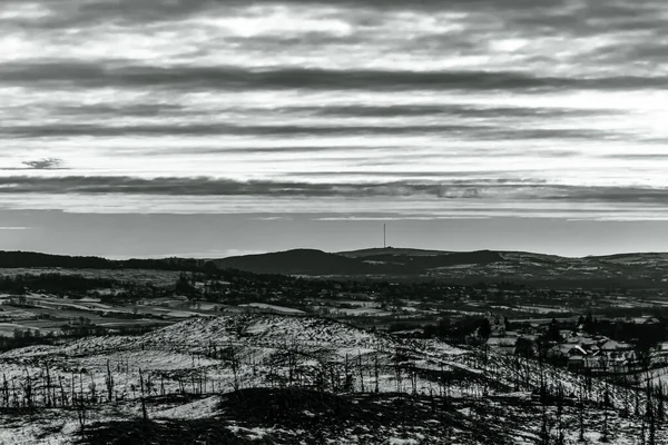 Karla kaplı ağaçlarla kaplı kış manzarası