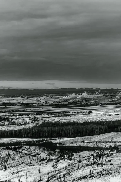 Landscapes, Forest, Carpathians, Photos of nature -Black and white photos, monochrome photos - Europe, Eastern Europe