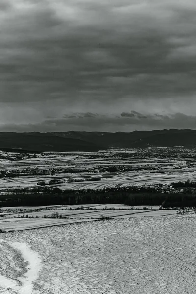 Landscapes, Forest, Carpathians, Photos of nature -Black and white photos, monochrome photos - Europe, Eastern Europe