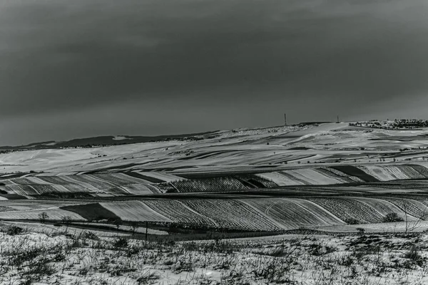 Ağaçlarla dolu bir tarlası ve dağları olan güzel bir manzara.