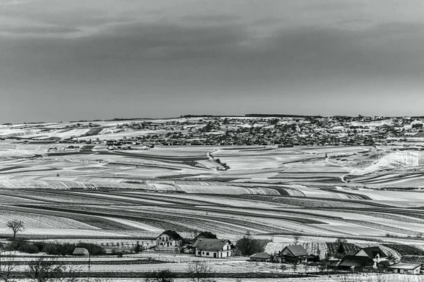 Bir tarla ve ağaçla boş bir arazinin gri tonlu görüntüsü.