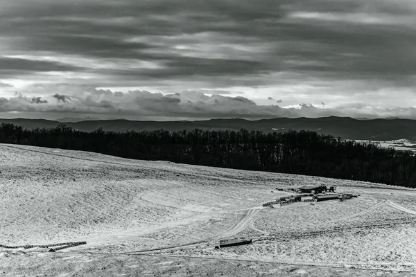 Doğa sahnesinin resimsel görüntüsü