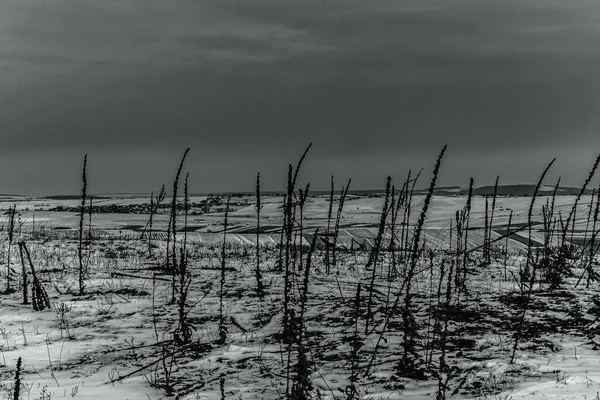 Doğanın güzel manzarası