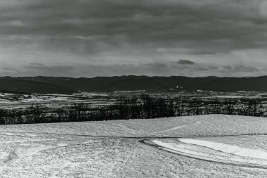 Karla kaplı ağaçları olan güzel bir manzara.