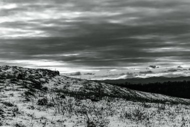 Karla kaplı ağaçlarla kaplı kış manzarası