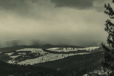 Dağlarda kış manzarası Karda ağaçlar