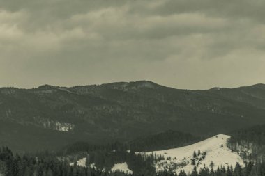 Karla kaplı ağaçlarla kaplı güzel kış manzarası