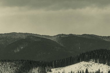 Dağlarda da beyaz, siyah ağaçlar...