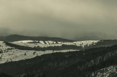 Karla kaplı ağaçlarla kaplı kış manzarası