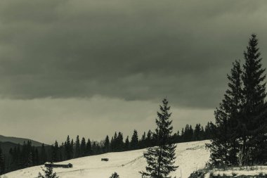 Dağlar ve karla kaplı güzel bir manzara.