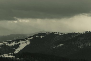 Ormanda karla kaplı bir dağın güzel bir görüntüsü.