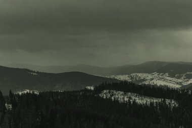 Karpatlar, Ukrayna. kış dağları