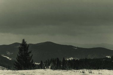 Karpatların kış manzarası..