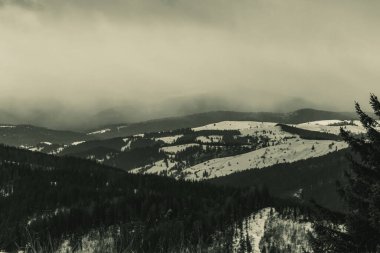Karpatlar güzel dağ manzarası.
