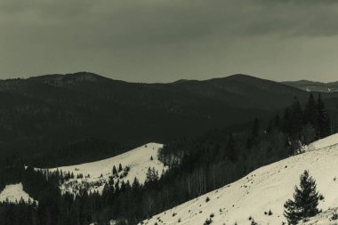 Dağlardaki güzel kış manzarası
