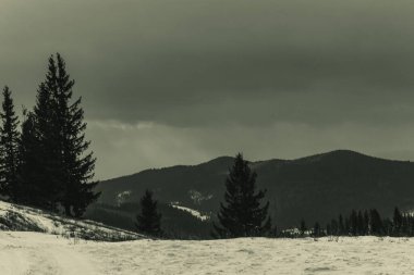 Karpatya dağlarındaki Karpatlar 'ın karlı dağ manzarası