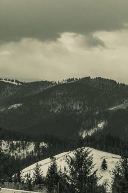Karla kaplı ağaçlarla kaplı güzel kış manzarası