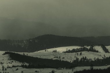 Karpatların sisli bir günde karla kaplı yeşil bir tarlanın alçak açılı görüntüsü.
