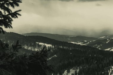 Karpatların kış manzarası, Ukrayna