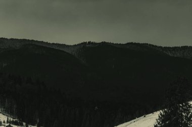 Güzel dağ manzarası, doğal arka plan