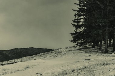 Dağları ve ormanı olan güzel bir manzara.