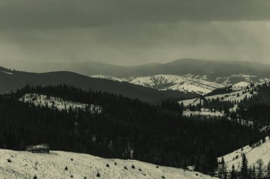 Karla kaplı ağaçlarla kaplı güzel kış manzarası