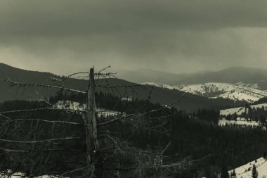 Karpatlar, Karpatlar, Ukrayna, kış, doğa, kar. Dağlardaki köy, karın içindeki.