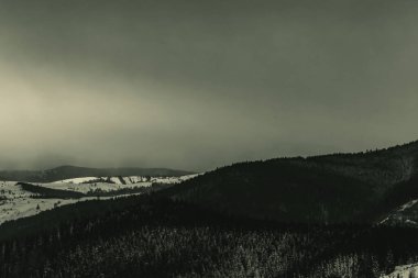 Dağlarda bir ağacı olan güzel bir manzara.