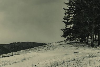 Dağlarda dağları olan güzel bir manzara.