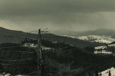 Güzel bir kış manzarasının gri tonlu görüntüsü.