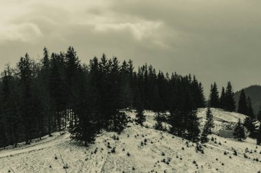 Karlı güzel kış manzarası - tepeli zirveler