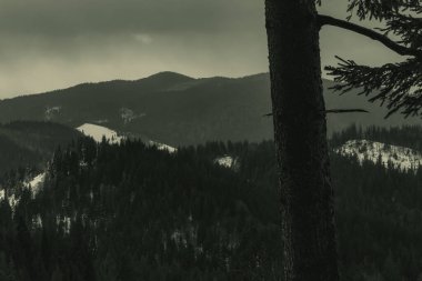 Güzel dağ manzarası, Karpatlar dağları. ukraine