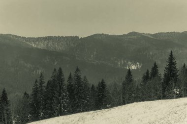 Güzel kış dağ manzarası. Doğa arkaplanı