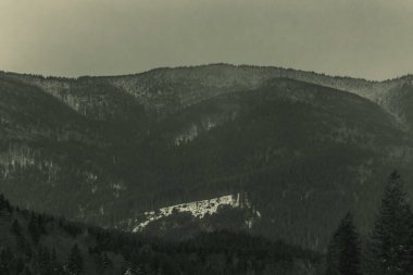 Karpatya 'daki Karpat Dağları