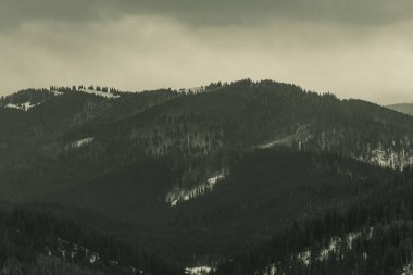 Karlı ve ormanlı dağ manzarası