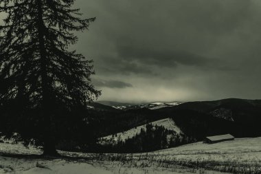 Dağlarda bir ağacı olan güzel bir manzara.