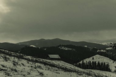 the beautiful landscape of the carpathian mountains