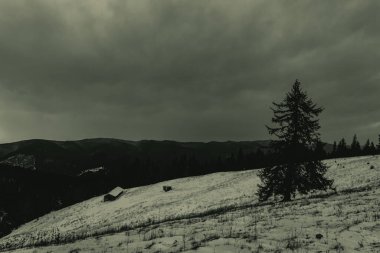 Dağlarda dağları olan güzel bir manzara.