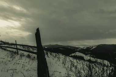 Karla kaplı güzel kış manzarası Dağlarda köknar ağacı