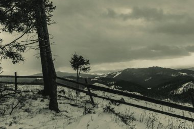 Karayiplerdeki bir dağ manzarasının güzel bir görüntüsü.