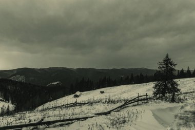 Karla kaplı ağaçlarla kaplı güzel kış manzarası