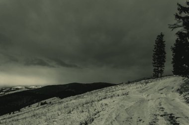 Ağaçlı ve karlı güzel bir manzara.